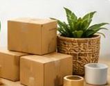 Fulfilment & Logistics